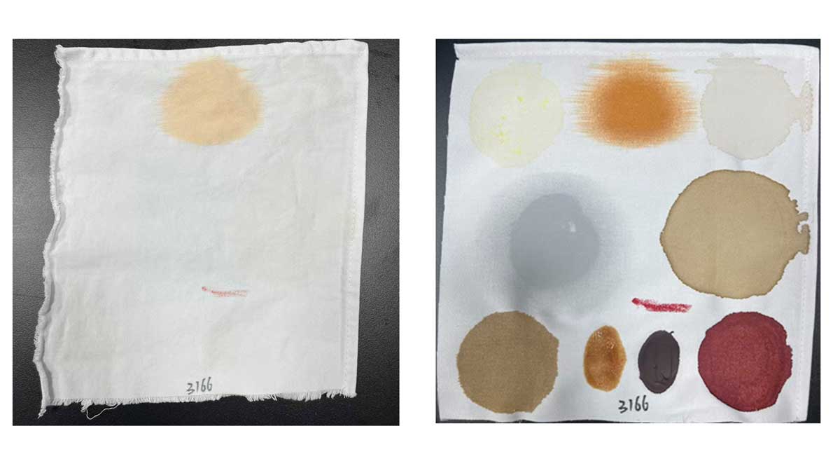 Beyond Clean: A Deep Dive into the Surprising Performance of Dual-Powder Pods.